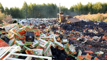 В Крыму торжественно уничтожили две тонны санкционных овощей и фруктов