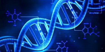 Ученые превратили ДНК человека в флешку