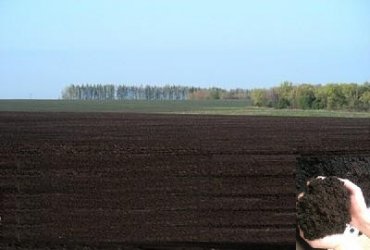 Сколько стоит сельхозземля и почему нужно снимать мораторий