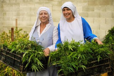 Новость о католических монахинях, выращивающих марихуану, оказалась фейком