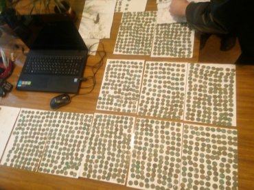 Школьники в Чернигове нашли старинный клад с монетами короля Сигизмунда