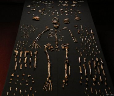 Ученые выяснили, что первобытные люди появились всего 300 000 лет назад