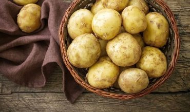 Европа отказалась пускать на свои рынки украинский картофель