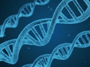 Гены оживают после смерти. Открытие ученых