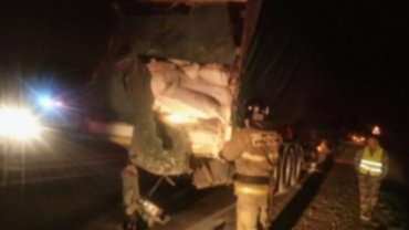 Автобус с украинцами попал в ДТП в России: десятки пострадавших