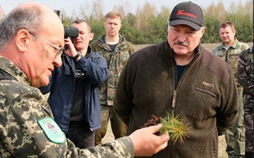 Лукашенко вывел белорусов на субботник вопреки рекомендации ВОЗ