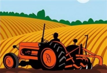 ТОП 7 производителей зерна в Украине