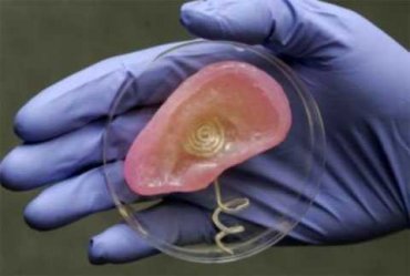 Ученые создали уникальное бионическое ухо