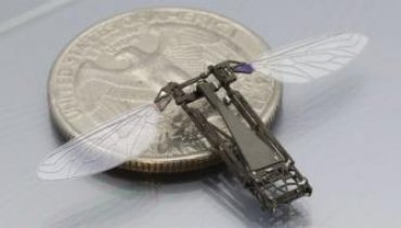 RoboBee — самый маленький робот в мире