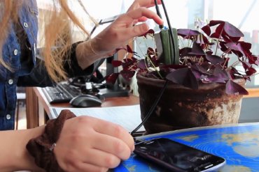 Смартфоны научились заряжать от кактусов