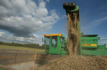 Украина продала за границу десятки миллионов тонн зерна