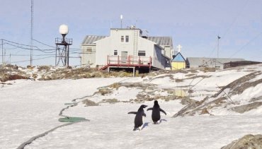 Украина планирует ввести новые международные исследования в Антарктиде