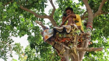 Заболевший ковидом индиец 11 дней просидел на дереве, чтобы не заразить семью