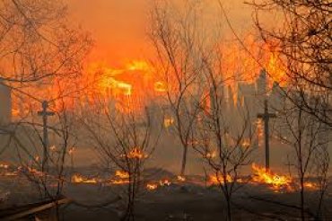 Россия в огне: в разных регионах РФ горят десятки тысяч гектаров