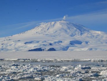 Ученые нашли растительность в древней Антарктиде