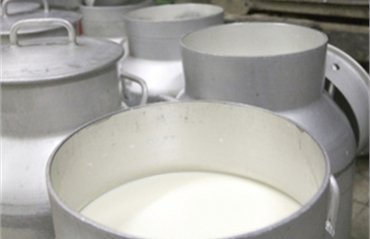 Ученые: Жители севера Африки начали пить молоко 7 тыс лет назад