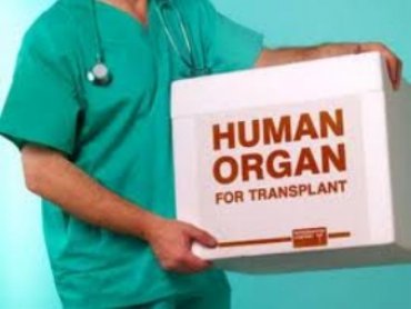 РПЦ призвала россиян жертвовать органы для трансплантации