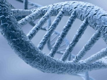 Генетическое оружие – может ли вас убить ваша ДНК?