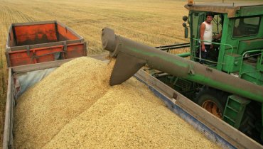 Украина бьет рекорды по экспорту зерновых