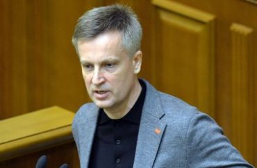 УДАР согласился отправить Наливайченко в отставку