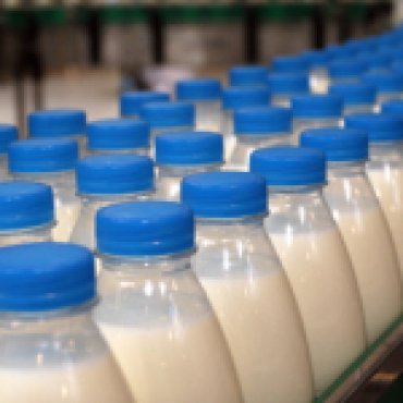 Украинскую молочную продукцию будут поставлять в Казахстан