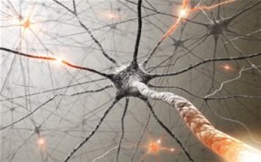 Ученые создали искусственный нейрон