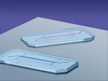 Ученые изобрели силиконовые чипы, способные заменить человеческие органы