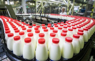 Импортозамещение: в России выпускают молоко с гипсом и борной кислотой