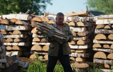 Власти Крыма призывают граждан начать запасаться дровами