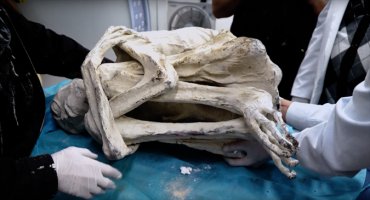 В пустыне Наска обнаружена древняя мумия погибшего гуманоида