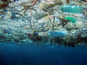 Экологи бьют тревогу: в Черном море нашли пятна пластика