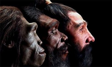 Ученые смоделировали внешность человека к 2100 году