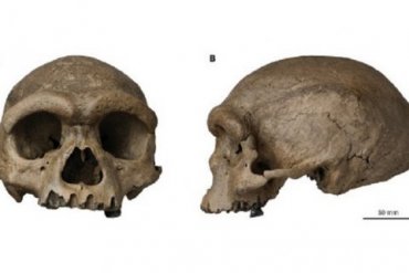 В Китае нашли череп ранее неизвестного вида человека