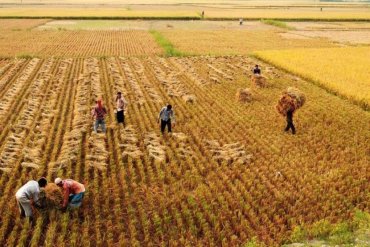 Турция хочет договориться с Украиной об аренде сельхозземель