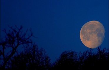 Ученые выдвинули новую гипотезу происхождения Луны