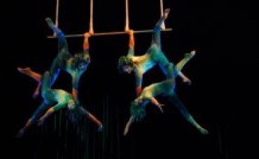 В США акробатка цирка Du Soleil разбилась насмерть во время представления