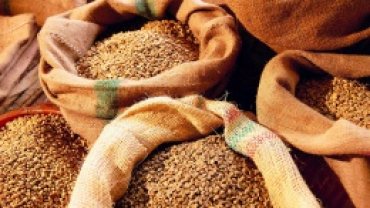 Более 90 стран импортируют украинское зерно
