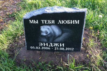 В России стали хоронить людей на кладбищах для животных