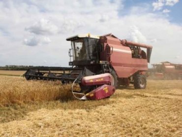 Экспорт пшеницы из России за пять месяцев вырос почти в два раза