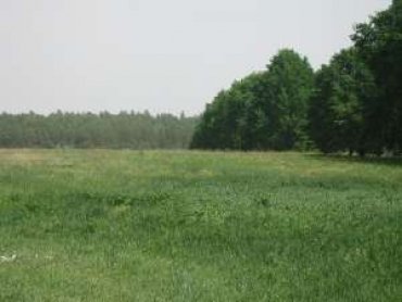Почти 800 гектаров украинских госземель пустят с молотка