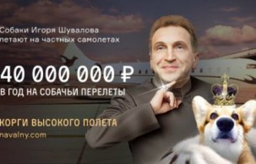 Скандал: собачки вице-спикера Госдумы Шувалова летают по миру в собственном самолете