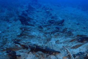 Возле Греции археологи обнаружили крупнейшее кладбище древних кораблей