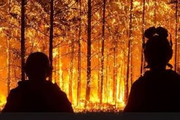 Губернатор Красноярского края заявил, что тушить лесные пожары вредно