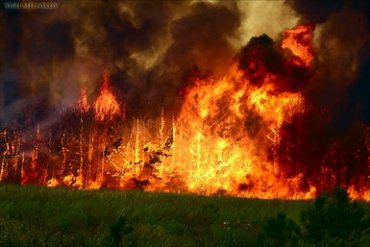 Лесные пожары в Италии: есть погибшие