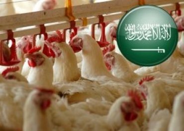 Саудовская Аравия заинтересована в импорте мяса птицы из Украины