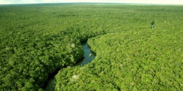 Ученые: древняя Амазония имела многомиллионное население