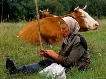 В России решили ограничить поголовье скота в личных хозяйствах