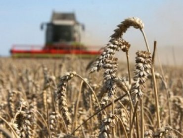 Аграриям Украины вернут спецрежим НДС