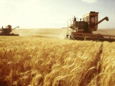 USDA увеличил прогноз экспорта зерна из Украины