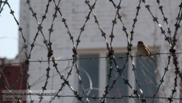 Из «тайной тюрьмы» СБУ освобождены 13 человек